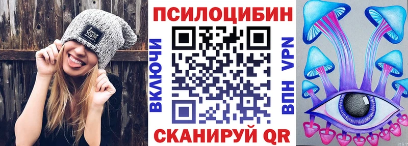 Купить  Каргат  Псилоцибиновые грибы MAGIC MUSHROOMS 